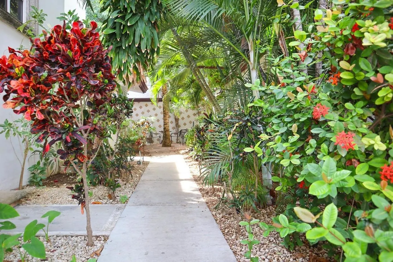 Sleep In A Pineapple Under The Sea Appartement Playa del Carmen