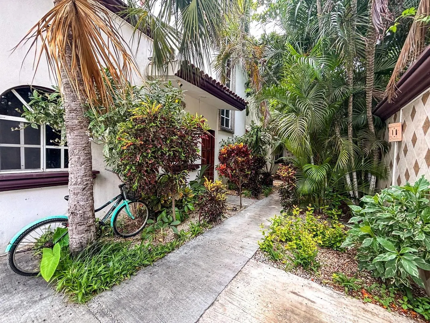 Sleep In A Pineapple Under The Sea Appartement Playa del Carmen Mexico
